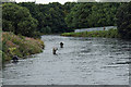 Trout fishermen, River Leven