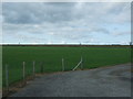 Grassland, Middle Mown Meadows