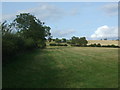 Grazing and hedgerow, High Grange