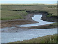 TF8145 : Trowland Creek on Deepdale Marsh, Norfolk by Richard Humphrey