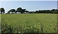 Field close to Plumpton Green