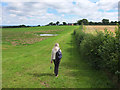 SJ5673 : Path from Beech Lane to Town Farm Lane by Gary Rogers