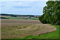 Farmland north of Chisbury