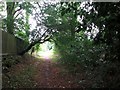 Bridleway approaching The Street in Ashby St Mary