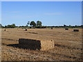 TF1506 : Harvested field off Mile Drove near Glinton by Paul Bryan
