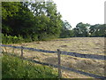 View from access road to Leacroft Kennels