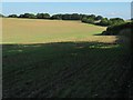 Farmland east of Stratton Lane