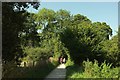 Riverside path above Totnes