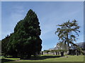 SD2674 : St Mary & St Michael, Great Urswick: trees in the churchyard by Basher Eyre