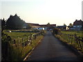 TQ6686 : Farm driveway near Laindon by Malc McDonald