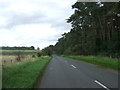 Heading east towards Weeting