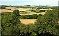 Farmland in the Cerne valley