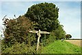 Signpost on the Wessex Ridgeway