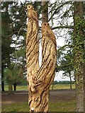 NZ1266 : Sculpted tree trunk, Close House Golf Course by Andrew Curtis
