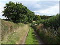 Farm track near Swepstone