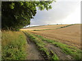 Farm track alongside Cooper