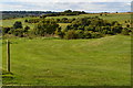 Footpath across Hockley golf course