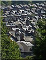 Rooftops at Hunters Bar