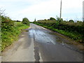 Surface water along Carncorran Road