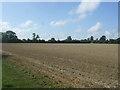 Stubble field, Hoys Farm