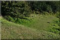 White Cliffs of Dover Walk: Grassy slope leading away from the main right of way