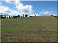 Arable land above the A22 on the northern fringe of Killyleagh