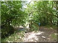 Ford and footbridge over River Lew