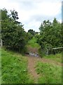 Gate and puddle on footpath to Hatherleigh