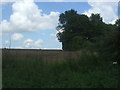 Field and woodland near Bulls Bridge Farm