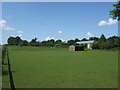 Grazing, Lower Farm, Boyton End