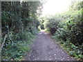 The southern track linking the Bangor Road with the Whitespot Lead Mines