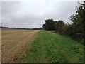 Footpath towards Knapwell