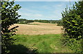 Farmland north of Cerne Abbas