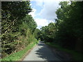 Lane near Dales Farm