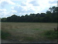 Stubble field towards Aveley Wood