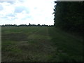 Stubble field and hedgerow, Harrow Green