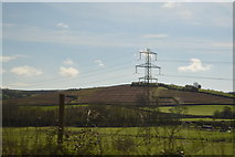 SX8365 : Pylon near Bow Grange by N Chadwick