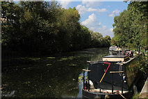 TQ3685 : River Lea Navigation beside Hackney Marsh (3) by Chris Heaton