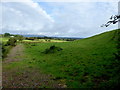 Aghnaglea Townland