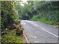 Logs by Broxhill Road