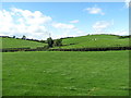 Drumlins West of the A22 (Killyleagh to Comber) road