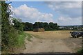 Field by East Wick Farm