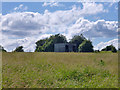 Shed, field west of Straight Road