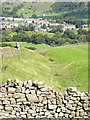 Earthwork at Harkerside