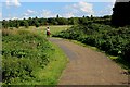 Tottenham Marshes