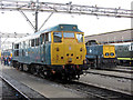 Old Oak Common open day