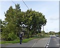 Bus stop on A420 north of Tubney