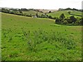 Pasture above Hookway