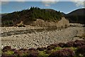 NN8495 : Sediment Transport on the River Feshie, Scotland by Andrew Tryon