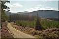 NH8605 : Forest Track on Moor of Feshie, Cairngorm National Park by Andrew Tryon